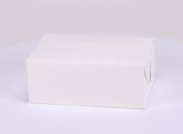 9x5x3" Waxed Box White Patty Burger