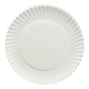 [9PLATE] 9" Shallow Paper Plate