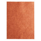 9x12" Peach Treat Paper Sheets (Dark)