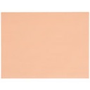 [912PS] 9x12" Peach Steak Paper Sheets