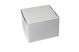 7x7x5" Cake Box White Clay Closeout