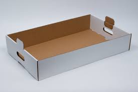 Large Tote Box 21x12x4" w/ Handles Full Tray