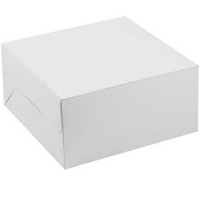 5.5x5.5x4" Cake Box White Clay