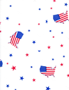 [40FLAG] Cellophane Roll 40"x100' Flag America