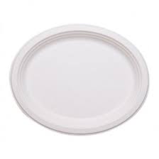 FOP120W 10x12.5" Plate Oval Bagasse Compostable