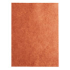 [912PT] 9x12" Peach Treat Paper Sheets (Dark)