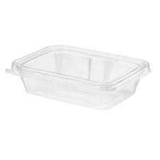 [TS20-SPEC] 20 oz Tamper Evident Hinged Oblong Container PET